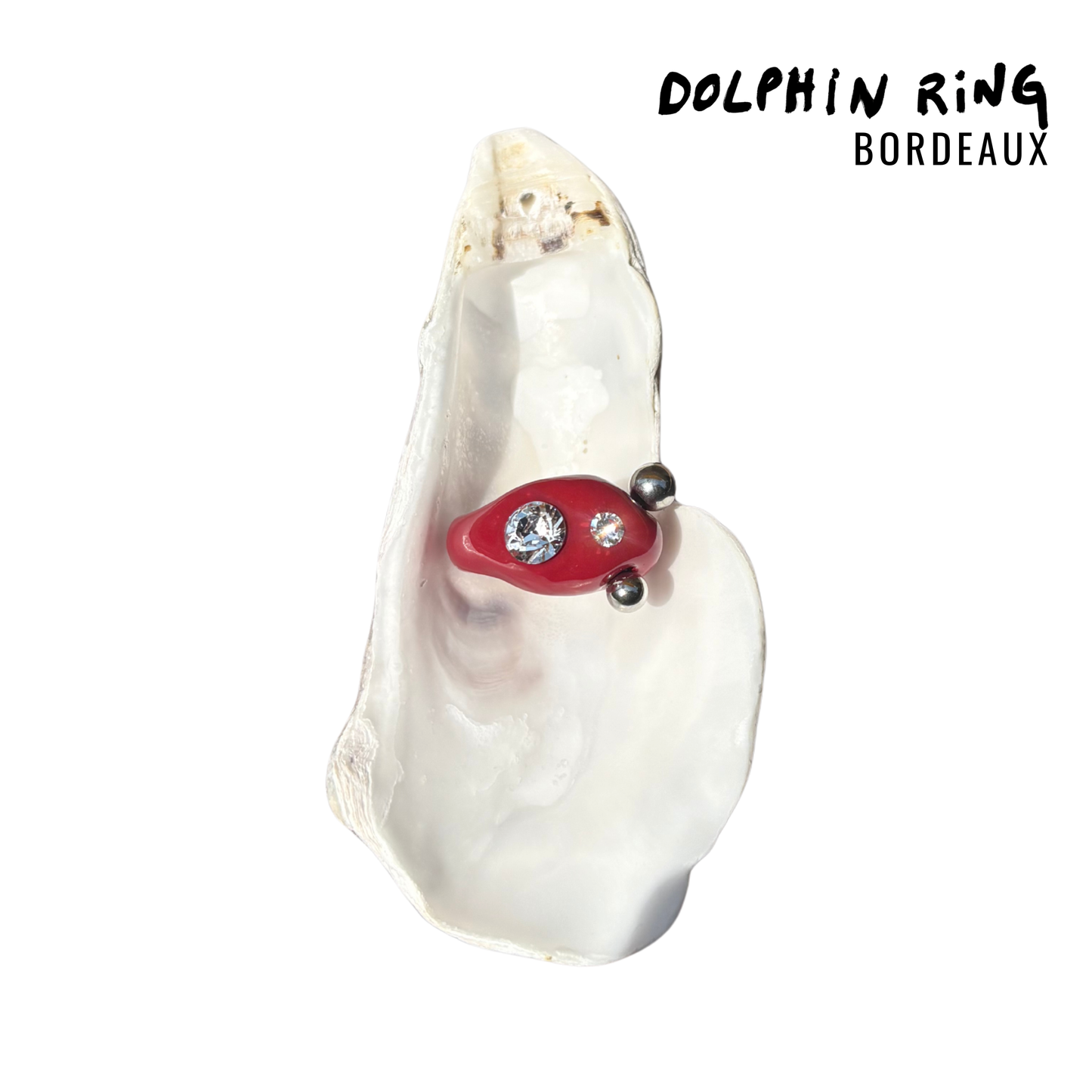 DOLPHIN