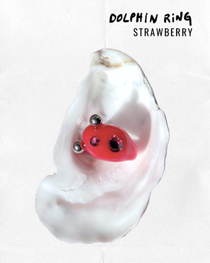 Dolphin strawberry