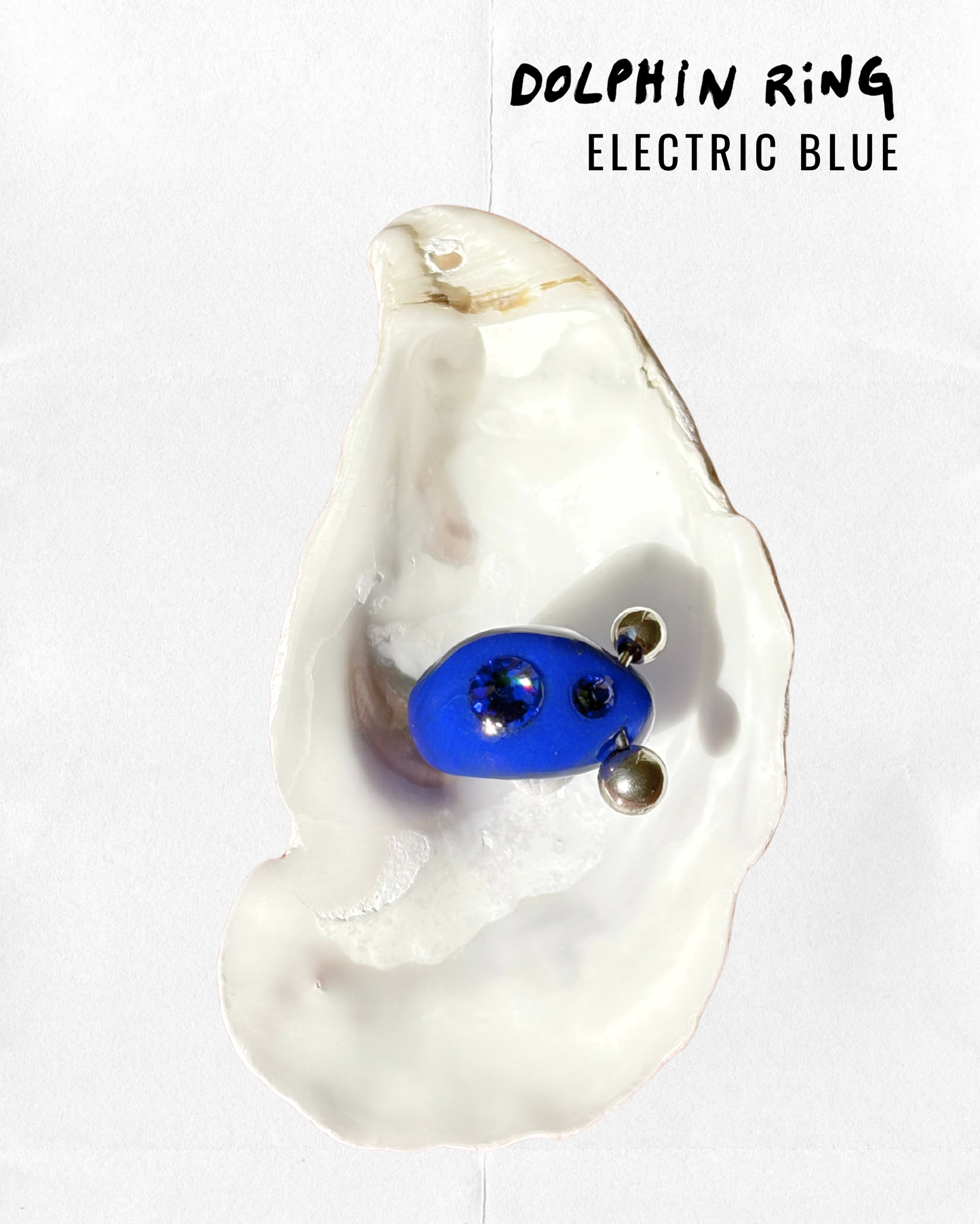 Dolphin electric blue